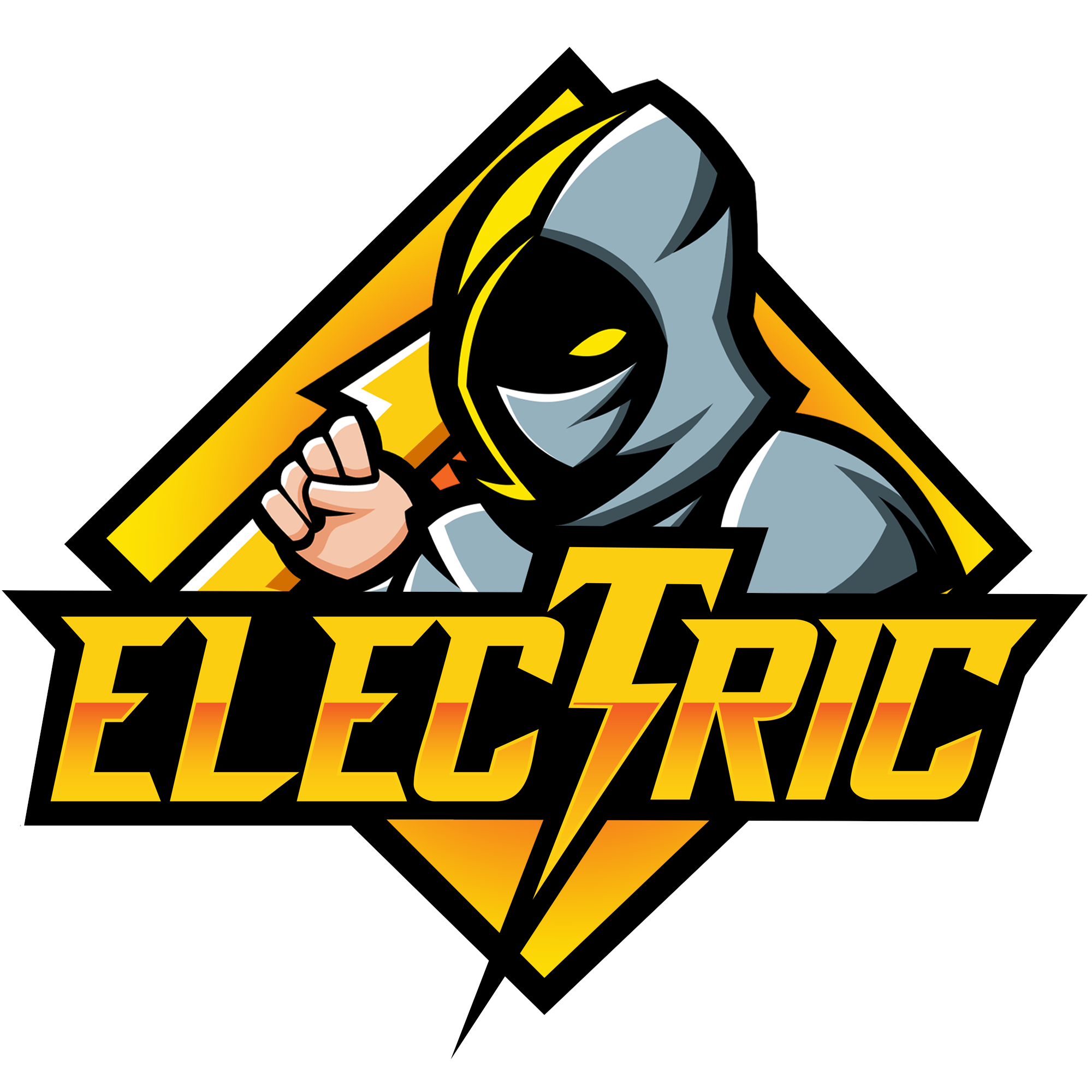 ElectricHCF Network logo